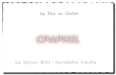 Testa di Maiale — Vista delle scogliere — Les Editions JEAN — Verso