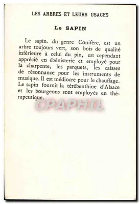 O Pinheiro — Os Árvores e Seus Usos — — Verso