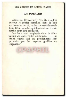 Le Poirier — Os Árvores e Seus Usos — Verso