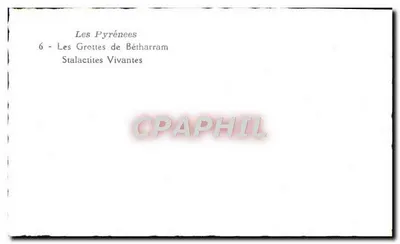 Pyrène — 6 — Grotty Bétharram — Żywotne stalaktyty — Rewers