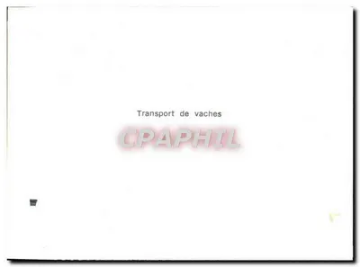 Transporte de vacas — Canal — Verso