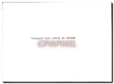 Transport de um cavalo para o pacage — Verso