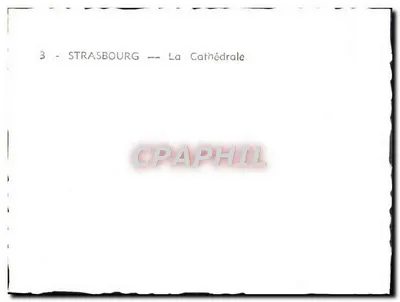 Strasbourg — Katedra — Rewers