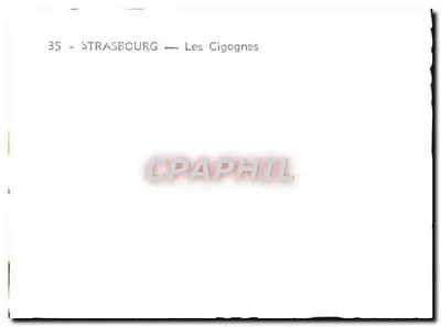 Strasburg — Ciganiery — Rewers