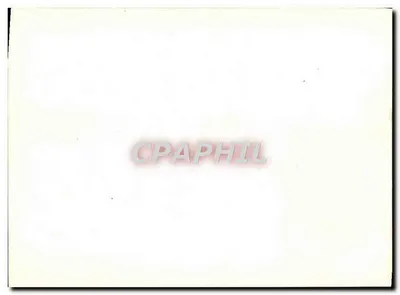 Statua w lasowym parku — numer seryjny 2895 — Rewers