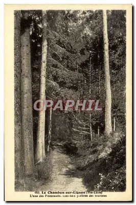 Le Chambon-sur-Lignon (Haute-Loire) — Uma das trilhas florestais favoritas dos turistas — Edição P. Bethwas - Tence, n° 159