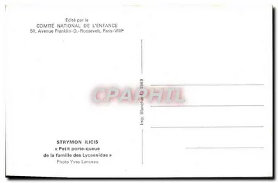 Strymon ilicis — Mały pasek — Wydane przez Komitet Narodowy Dziecka, Paryż-VIII — Rewers