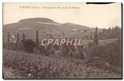 Fleurie (Rhône) — Montagne du Puy et pic de Remont — éditeur PERSI.A