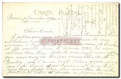 Paisagem invernal — decoração de hortênsias — editor não visível — Verso