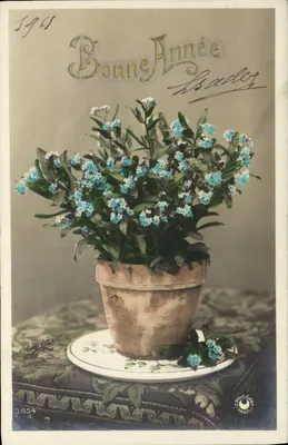 Bouquet de fleurs bleues — Bonne Année — Gast Vié, Croissant, Paris, n°3854