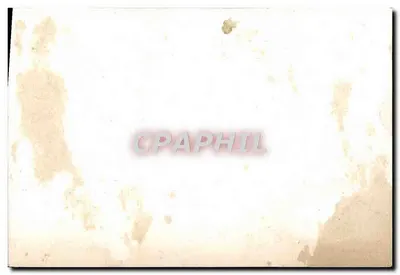 Dois cavalos puxando uma carruagem — homem no guidão — — Verso