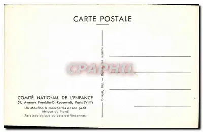 Um Mouflon com mangas e seu filhote — África do Norte — COMITÉ NATIONAL DE L'ENFANCE, Paris — Verso