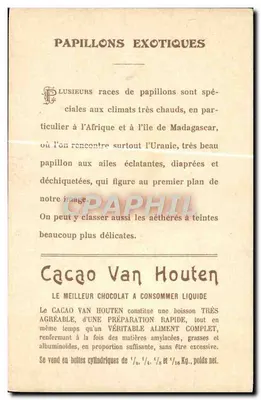 Eksotyczne motyle — Cacao Van Houten rozpuszczalny w postaci proszku — wydawca niewidoczny — Rewers