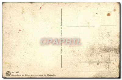 Amandery w kwiecie w okolicach Marsylii — E. Robort — Nr 447 — Rewers