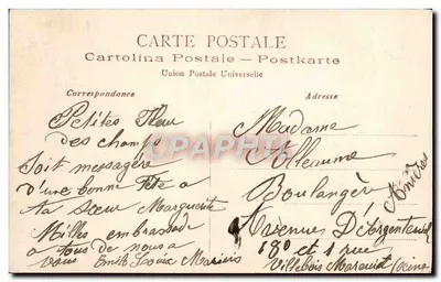 Fleurs de camomille — sur fond de bois — éditeur Cartolina Postale — Rewers