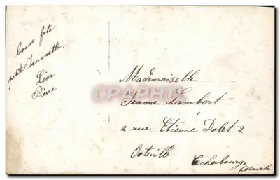 Dois crianças e um cachorro em um balanço decorado com rosas — editor '60' e carimbo 5¢ — Verso