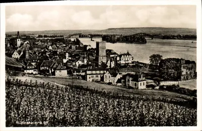 Rüdesheim a. Rh. — vista panorâmica com vinhedos e ponte — editor E. Böhm, Fotógrafo, W. S. No. 450