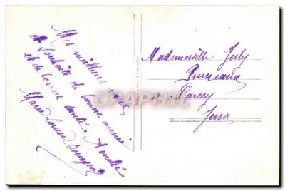 Jeune femme avec branches de sapin — Bonne Année — Éditeur CP 1020 — Verso