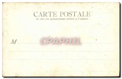 Pauernille — Carta postal decorada com folhas de trêfola e flores — editor não identificado — Verso