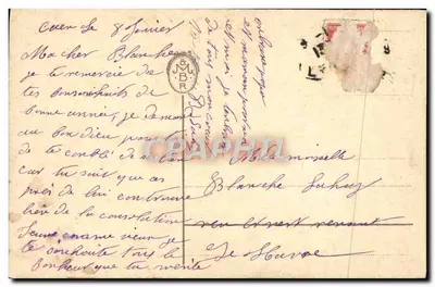 Fioletowe kwiaty — ilustracja — wydawca nieznany — Rewers