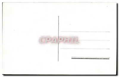Biała i żółta róża — Fotografia Art S4/109 — Rewers