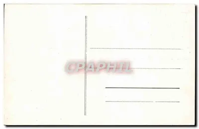 Rosa bianca — fotografia — Foundley (editore) — Verso