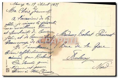 Rosa — cartolina di auguri — editore non visibile — Verso