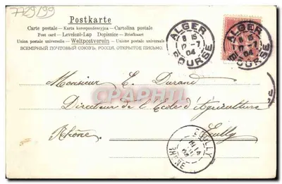 Roses — cartão postal enviado para Alger — editora desconhecida, número de série não visível — Verso
