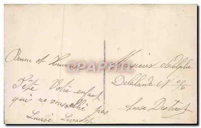 Rosa — cartolina postale — editore sconosciuto — Verso