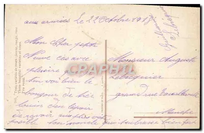 Trzy wersje róż: żółta, czerwona, różowa — wydawca I. LAVSKA, nr 2445 — Rewers