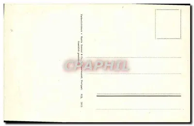 Rose rouge — fleur en gros plan — éditeur : Karl Rommel & Co. (Stuttgart) — Rewers