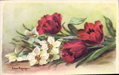 Arranjo de tulipas vermelhas e narcisos brancos — desenho de Louise Bracheron — editor COP Paris, n° 1806/2