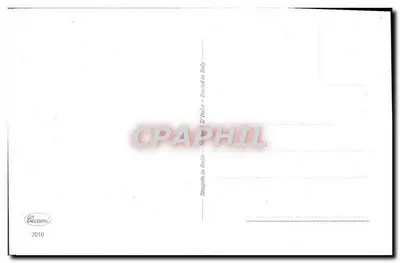 Arranjo de flores — Anémonas em um vaso dourado — Cecamì, 2010 — Verso