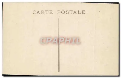 Íris — flores violetas sobre fundo preto — Carta postal — Verso