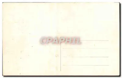Arranjo de flores e cones de pinheiro — edição ilustrada — n° 3018 — Verso
