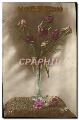 Arranjo de tulipas — Nelly — Nelly