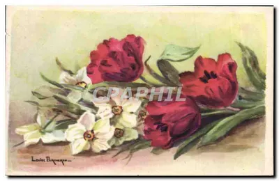 Arranjo de tulipas vermelhas e pássaros-do-paradiso brancos — Louis Percheton — Impressora Paris 1906/2