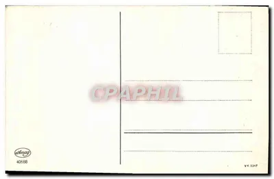 Bukiet margaretek — wydawca Amag, nr 40688 — Rewers