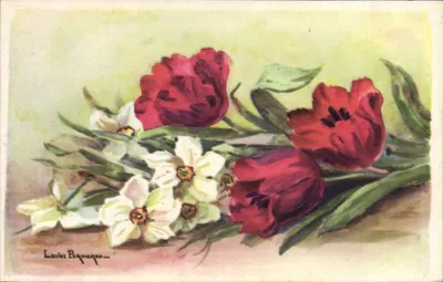 Arranjo de tulipas vermelhas e narcisos brancos — desenho de Louise Percheron — editor COY Paris, n° 1805/2