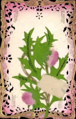 Fleur de chardon — decoração rosa e dourada — carta postal