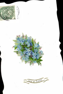 Arranjo de flores — Alegria e Saúde — editor não visível