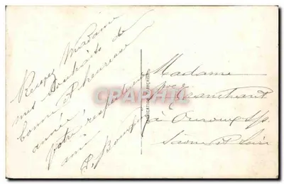 Rosa colorate — LPV Paris 557 — Verso