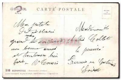Ranunculos — arranjo de flores vermelhas — editor Color Paris, n° 516 — Verso