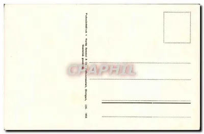 Rosa branca — ilustração botânica — editor Martin Remond & Co., Stuttgart — Verso