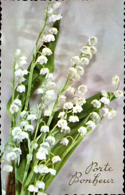 Muguet — Porte Bonheur — editor desconhecido, número de série não visível