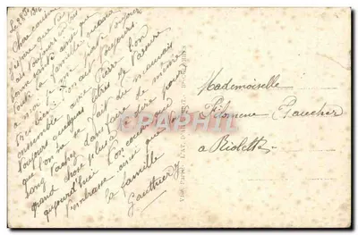 Bouquet de pâquerettes — FURIA 471 — Verso