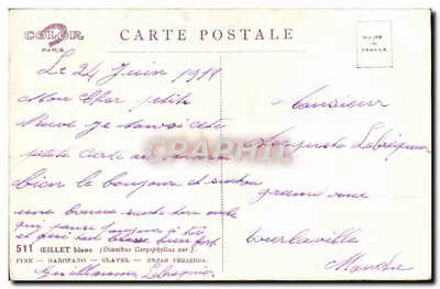 Gillete branco — Dianthus Caryophyllus var. — editor Color Paris, n° 511 — Verso