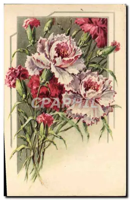 Arranjo de pêssegos — editor E.R. Paris