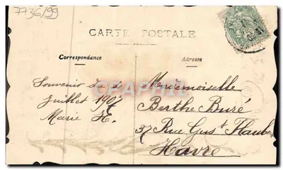 Flores de pensamento — Feliz Aniversário — Carta postal Bilhete postal antigo — Verso