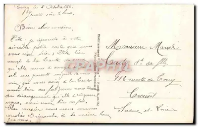 Pansies — Melhores amizades — Gloria, n° 344 — Verso